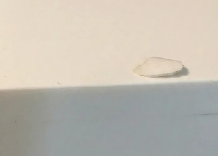 Acrylic Repair After